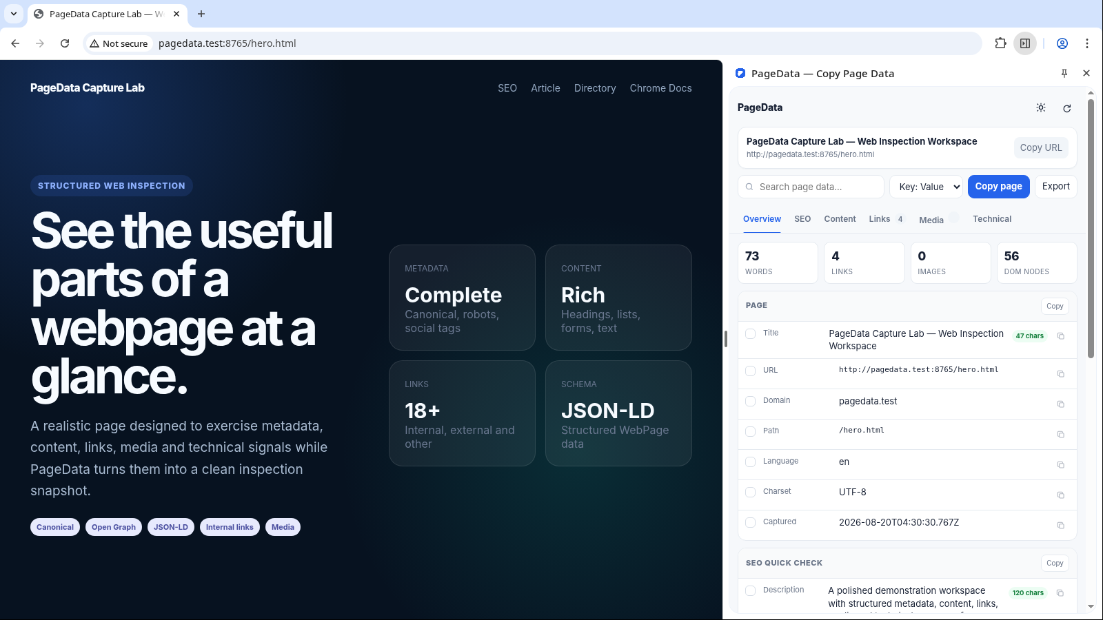 PageData Side Panel showing a complete page inspection overview inside Chrome.